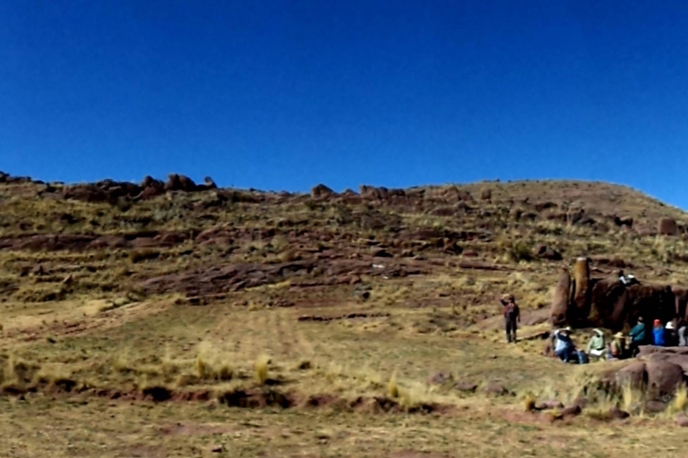 De Puno: Full-Day Private Aramu Muru w / Andean Shaman