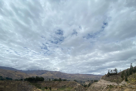 Depuis Arequipa : canyon de Colca et thermes de La Calera