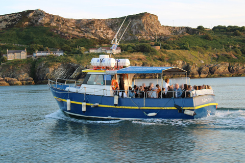 Dublin: Howth Coast and Ireland&#039;s Eye Boat Tour