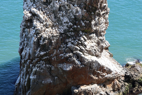 Dublin: Dublin Bay and Ireland's Eye Boat Tour