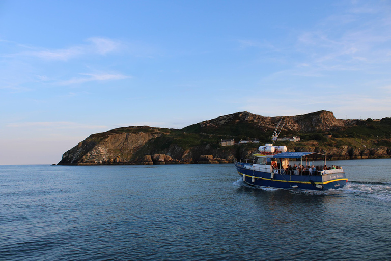 Dublin: Howth Lighthouse and Cliffs BootstourDublin: Howth Cliffs und Irlands Auge Bootstour an der Küste