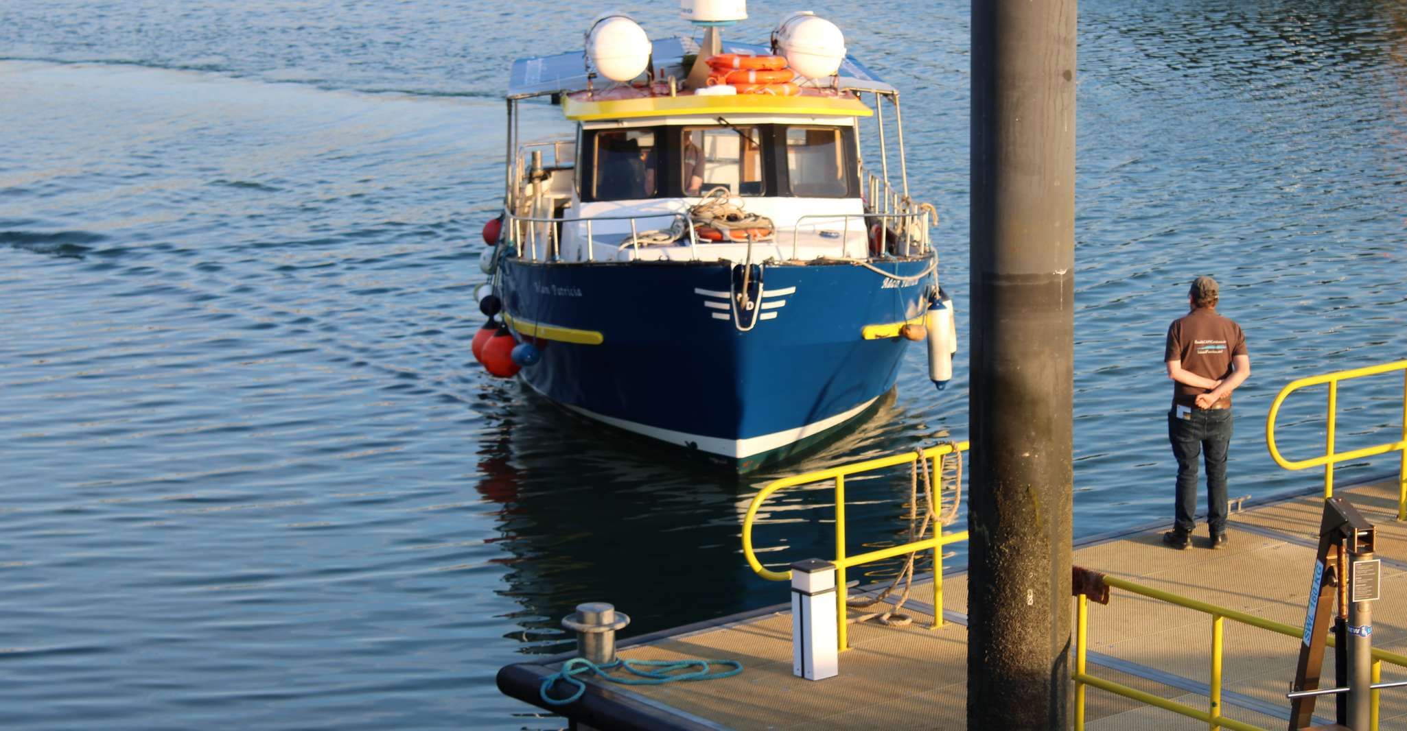 Dublín, Howth Cliffs y el crucero Combo Costero Ojo de Irlanda - Hizvo