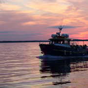 Dublin: Sunset Cruise in Howth