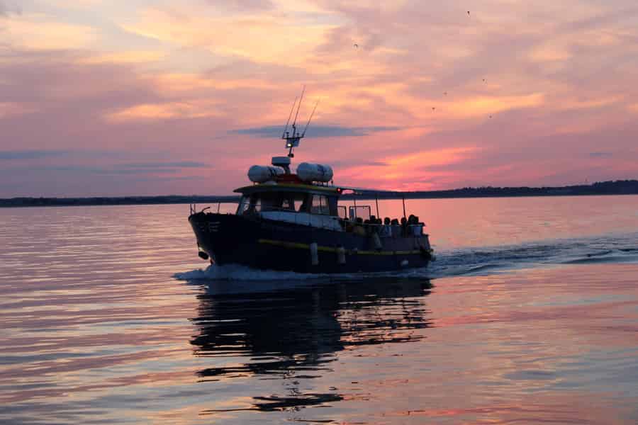 Dublin: Kreuzfahrt bei Sonnenuntergang in Howth. Foto: GetYourGuide