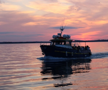 Dublin: Sunset Cruise in Howth