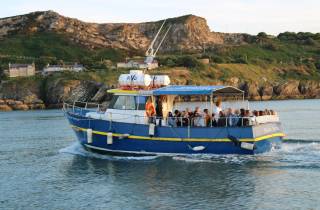 Dublin: Howth Cruise and Dine Experience