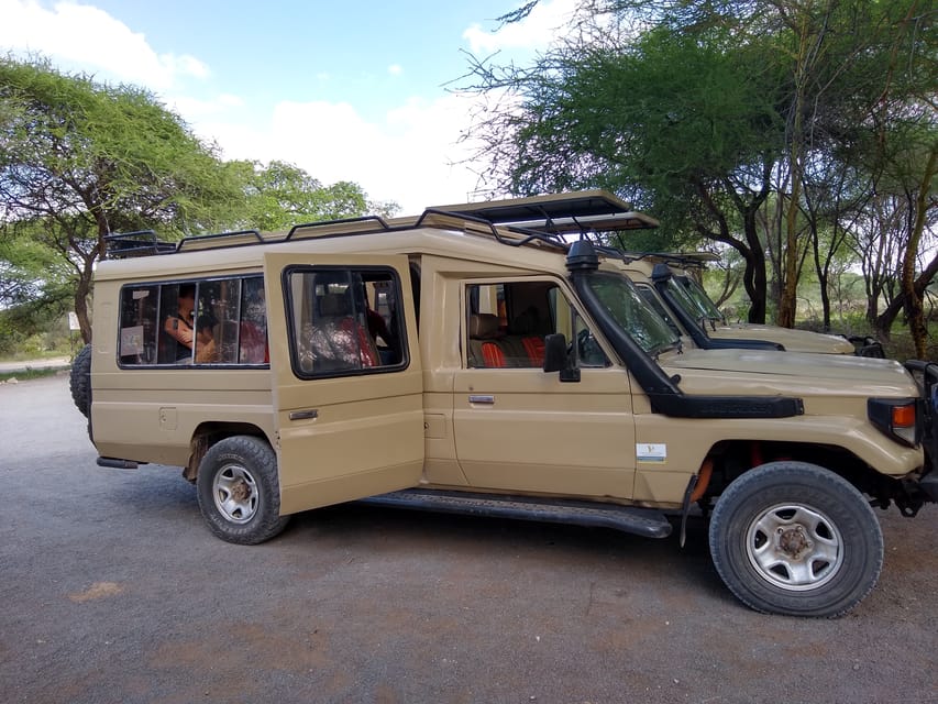 Transfer Services: Kilimanjaro Airport (jro) Moshi, & Arusha 