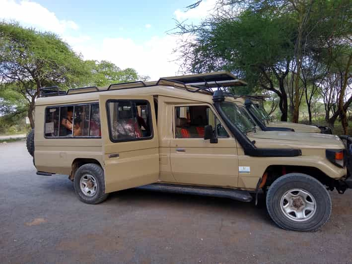 Transfer Services: Kilimanjaro Airport (jro) Moshi, & Arusha | GetYourGuide