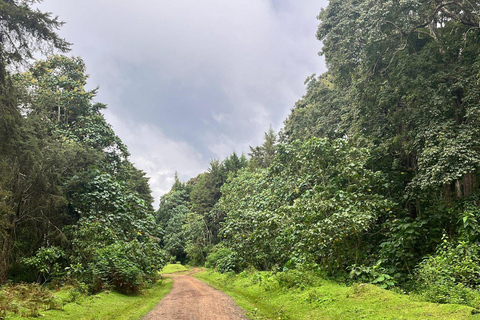 NAIROBI:Escursione di un giorno sulle colline di Ngong, tour di gruppo