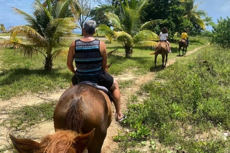 River Tubing and Horse Back Ride & Swim River Tubing and Horse Back Ride & Swim from Montego Bay