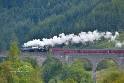 Glenfinnan: Glenaladale cruise, see the train and eagles 2hr