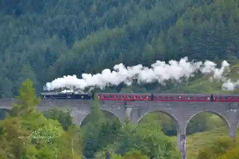 Glenfinnan: Glenaladale cruise, see the train and eagles 2hr
