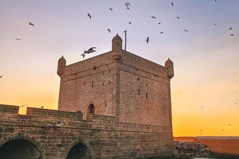Private Day Tour To Essaouira, Monuments & Horseback Ride