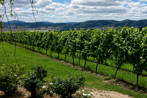 Hobart: Full Day Coal Valley Wine and Food Tour with Lunch