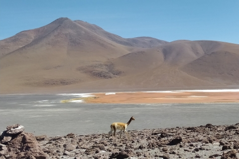 Z La Paz: 2-dniowy lot nad słone równiny Uyuni i Czerwona Laguna.