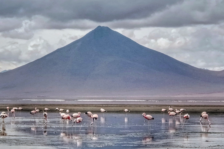 From La Paz: 2-Day Uyuni Salt Flats & Red Lagoon by Flight.