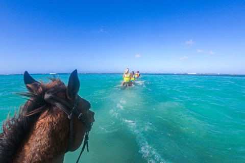 ATV and Horseback Ride and Swim from Montego Bay