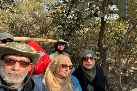 From Jaipur: Ranthambore Tiger Safari Private Day Tour Ranthambore Tiger Safari by Jeep