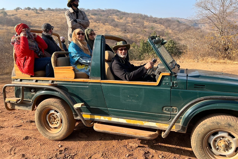 From Jaipur: Ranthambore Tiger Safari Private Day Tour Ranthambore Tiger Safari by Jeep