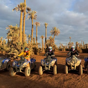 Aventure En Quad Dans L Oasis De Palmiers Et Jbilat
