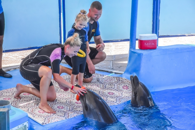 Hurghada : nage privée avec les dauphins au Dolphin WorldHurghada : nager avec un dauphin dans la piscine du Dolphin World
