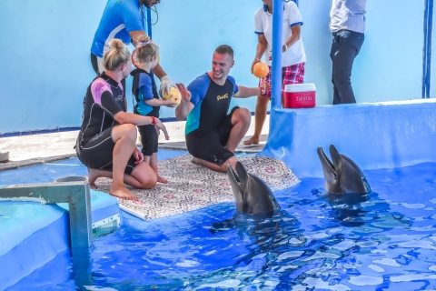 Hurghada : nage privée avec les dauphins au Dolphin WorldHurghada : nager avec un dauphin dans la piscine du Dolphin World