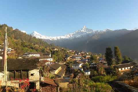 Pokhara: One Night Homestay Tour in het typische Lwang-dorp