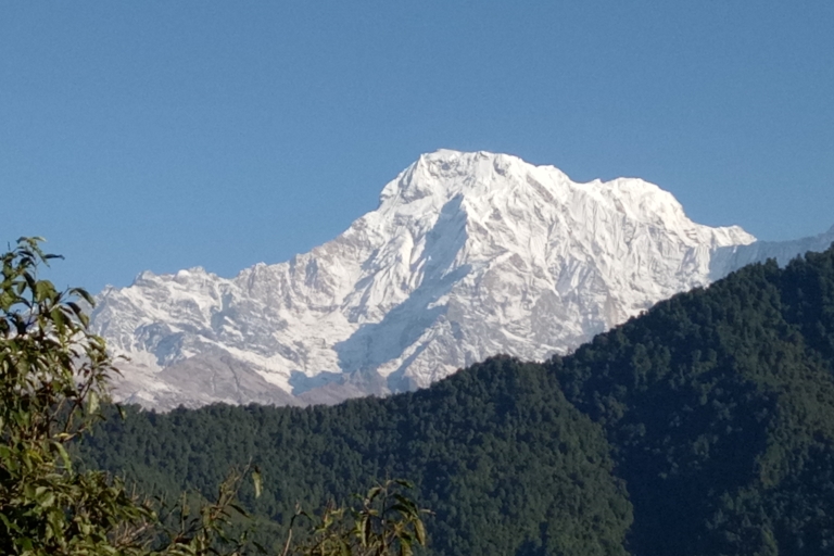Pokhara: 1 Night 2 Days short Australian Camp Trek