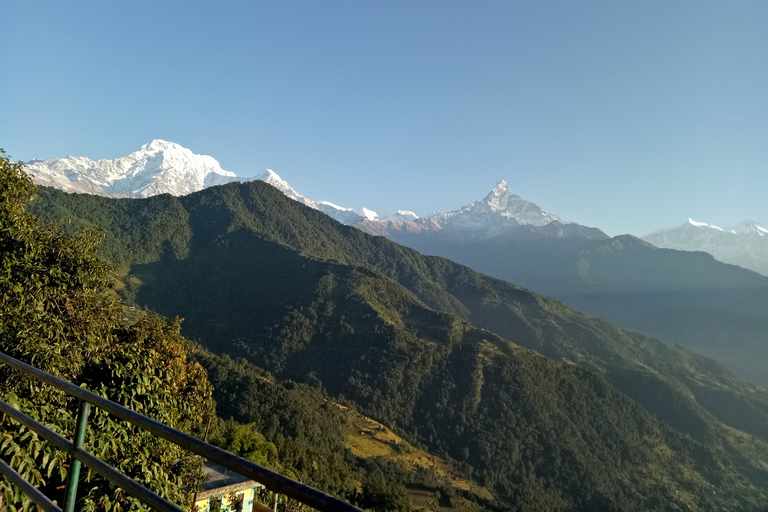 Pokhara: Caminata de 1 noche y 2 días por el Campamento Australiano de corta duración