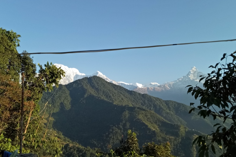 Pokhara : 1 nuit et 2 jours de trekking au camp australien de courte durée