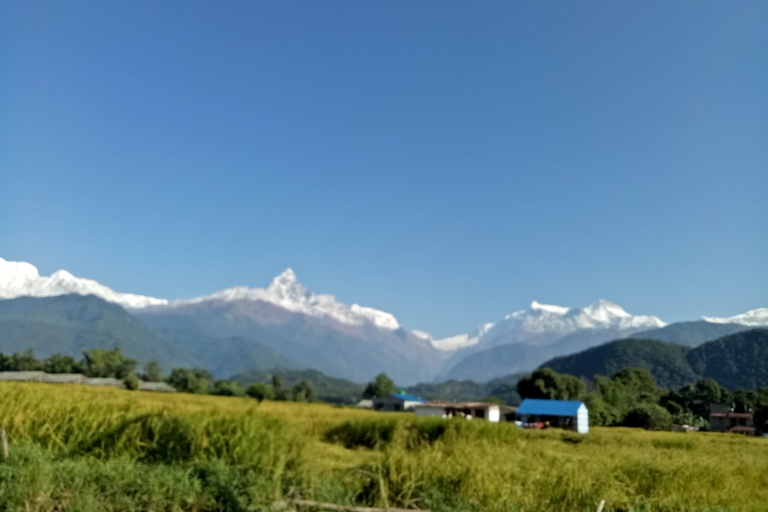 Pokhara: Caminata de 1 noche y 2 días por el Campamento Australiano de corta duración