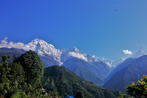 Pokhara: One Night Homestay Tour in het typische Lwang-dorp