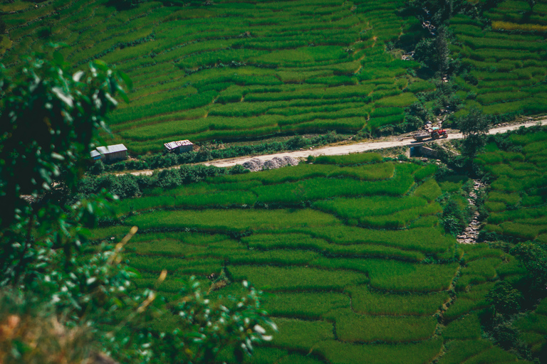 Pokhara : Une nuit chez l'habitant dans un village typique de Lwang