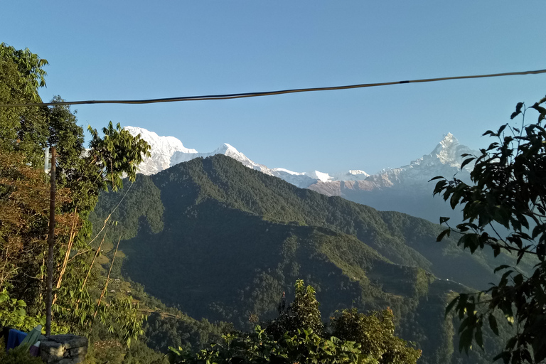 7 Nächte 8 Tage Kathmandu Pokhara Tour mit Dhampus WanderungStandard Option