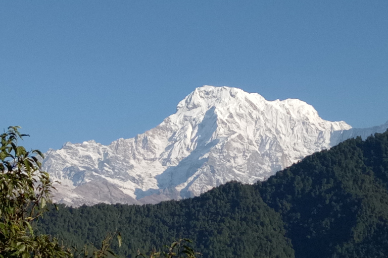 7 Noches 8 Días Katmandú Pokhara tour con Dhampus hikeOpción Estándar