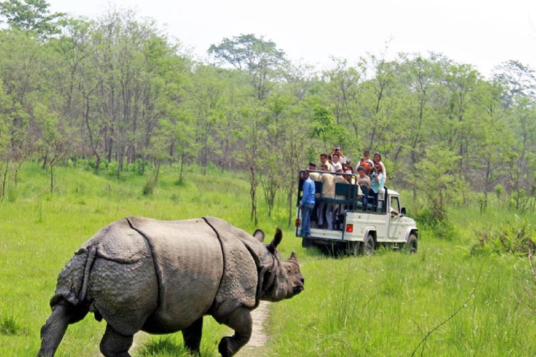 Nepal: 10 dni Katmandu Pokhara Lumbini Chitwan TourOpcja standardowa