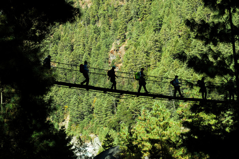 Aventure Pokhara : Deux heures d'excursion sur le pont suspendu"