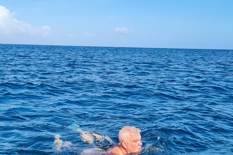 Schwimme mit Delfinen im Westen und genieße die IleAuxCerfs im Osten.