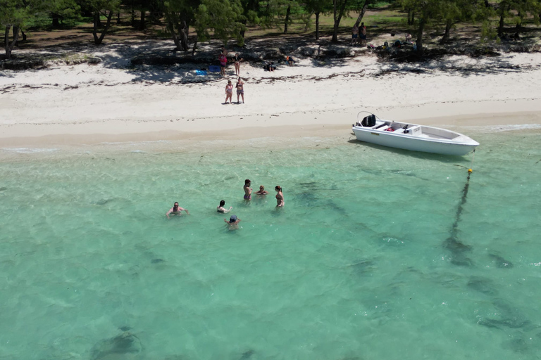 Schwimme mit Delfinen im Westen und genieße die IleAuxCerfs im Osten.