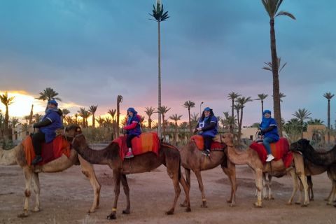 Marrakech: Camelo privado de Palm Grove e passeio de quadriciclo