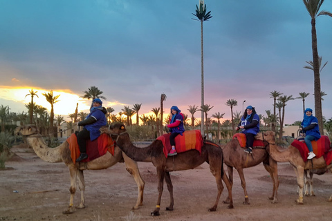 Marrakesh: kameel- en quadrit in het palmenbos