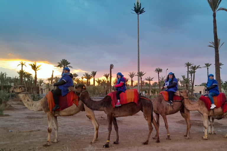 Marrakesh: kameel- en quadrit in het palmenbos