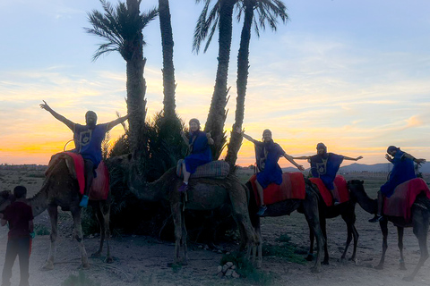 Marrakesh: kameel- en quadrit in het palmenbos