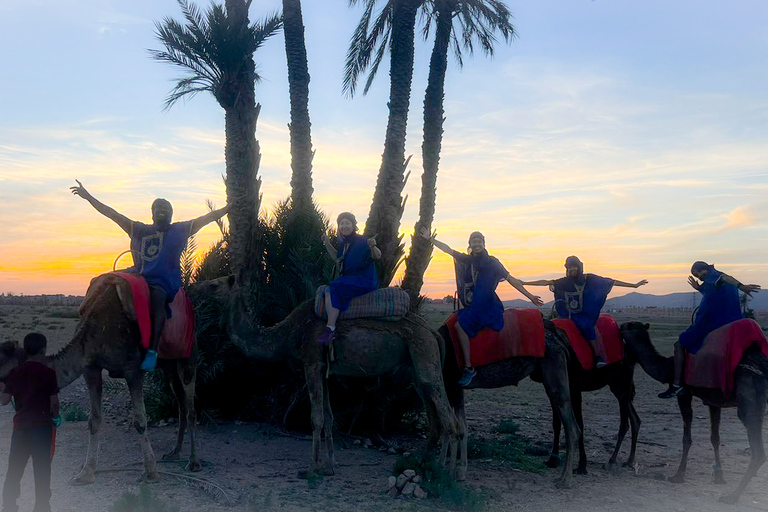 Marrakesh: kameel- en quadrit in het palmenbos