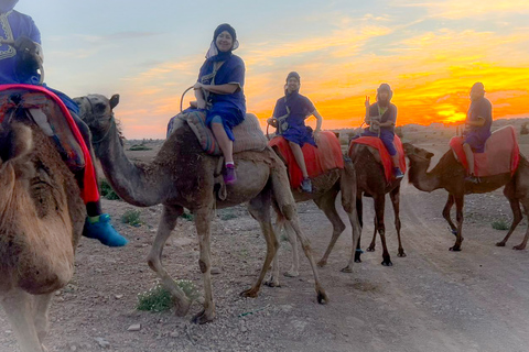 Marrakech : Promenade à dos de chameau et en quad dans la palmeraie