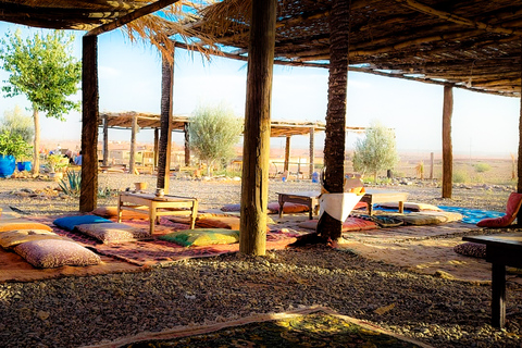 Marrakesh: kameel- en quadrit in het palmenbos