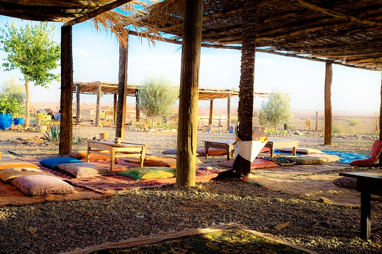 Marrakesh: kameel- en quadrit in het palmenbos