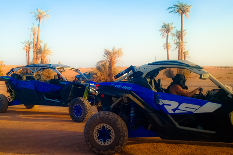 Marrakech : Promenade à dos de chameau et en quad dans la palmeraie