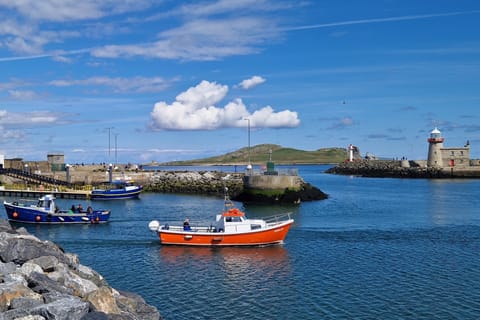 Dublin: Howth Coastal Boat Tour with Ireland's Eye Ferries
