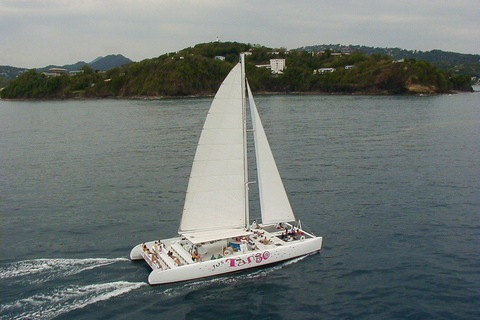 From Castries: Full-Day Catamaran Tour to Soufriere Standard Option